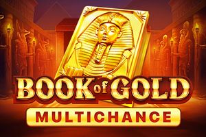 Book of Gold Multichance